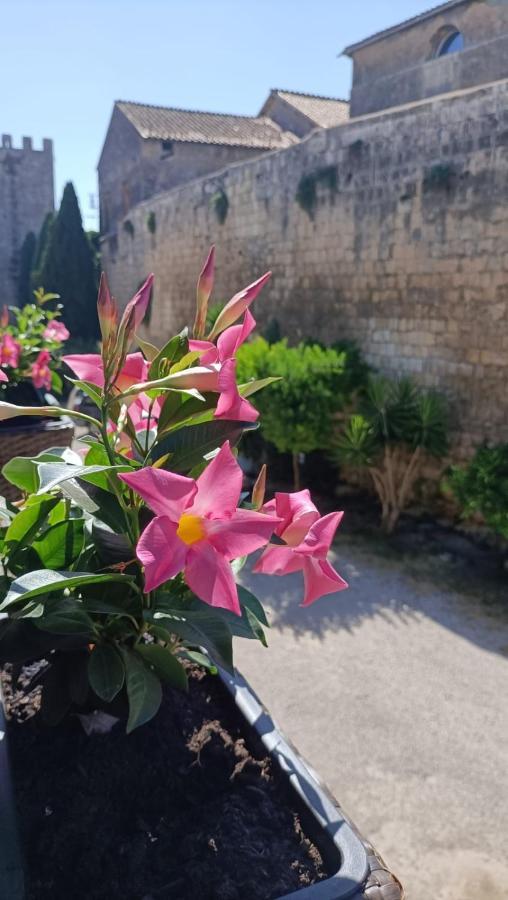 Appartamento La Torre Tarquinia Esterno foto